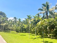 -中国科学院西双版纳热带植物园