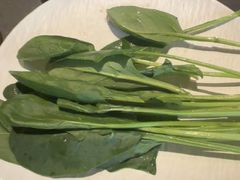 -牛YO寿喜烧和牛火锅自助(三台子万象汇店)