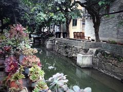-小洲村