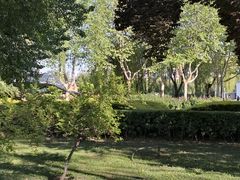 -裕华世纪公园