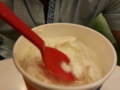 核桃暴风雪-DQ(西苑店)