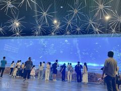 -华夏文旅海洋公园