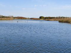 -春花秋色城市公园