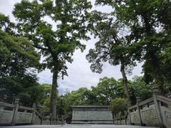 -阿育王寺
