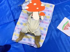 -澳洲袋鼠早教(南二环店)