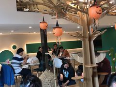 -飞行喵MR PILOT|猫舍·猫咖(静安大融城店)