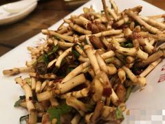 肉末折耳根拌粉-芦苇荡·酸汤鱼(回龙观店)
