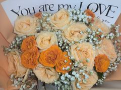 -极动室内恒温游泳馆