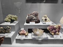 -湖南省地质博物馆