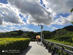 -云溪植物园