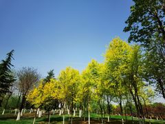 -洨河生态公园