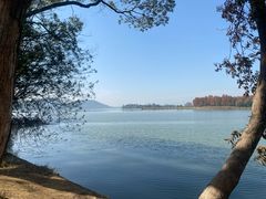 -东湖落雁景区