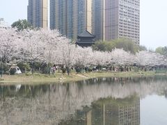 -堤角公园