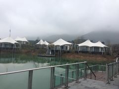 -帐篷客·溪龙茶谷度假酒店