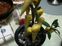 -成都安仁福朋喜来登酒店