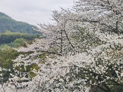 -杭州少年儿童公园