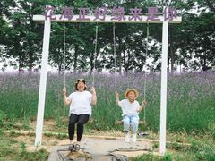 -大塘金香草谷