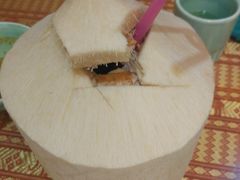 椰青-大耳象东南亚风情餐厅(月湖公园店)