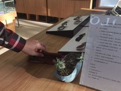 -精益眼镜(建三店)