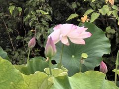 -贵阳市花溪国家城市湿地公园