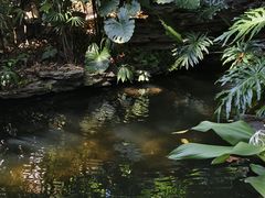 -广州兰圃