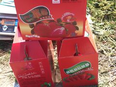 -小鱼草莓采摘园农家乐·小鱼餐厅