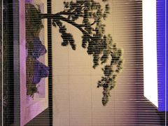 -绿杨春·淮扬宴(庐山路店)