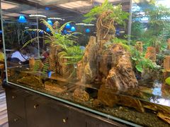 -泰谷酒店·太古码头闽菜自助餐厅