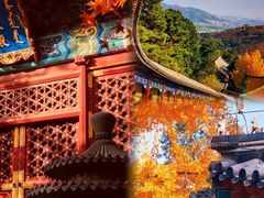 -香山公园