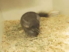 -龙猫仔乐园(惠福东路店)