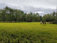 -北坞公园