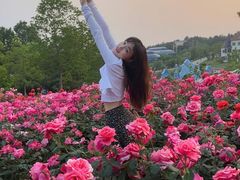 -大塘金香草谷