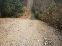 -四明山国家森林公园