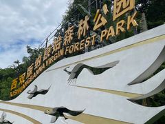 -西双版纳原始森林公园