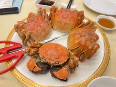 清水大闸蟹-王宝和酒家(黄浦店)