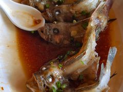 -鹏城人家海鲜酒家·23年老字号(较场尾店)