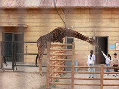 -鄂尔多斯野生动物园