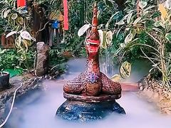 -呀路古热带植物园