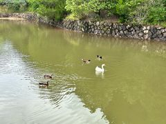 -桃源咖啡厅(武夷山大红袍山庄店)