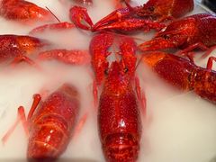 -红盔甲·小龙虾(天钥桥店)