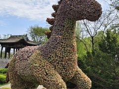 -沈阳植物园