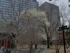 -月坛公园