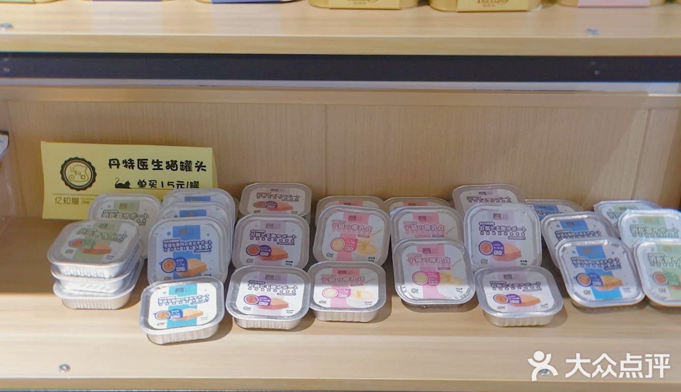 超解压！人均40元撸猫治愈不开心！