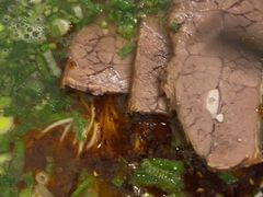 -有礼有面(知春路店)