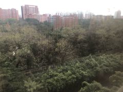 -上海财经大学(国定路校区)