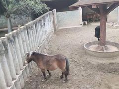 -成都动物园