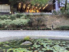 -香港大学