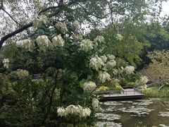-云溪植物园