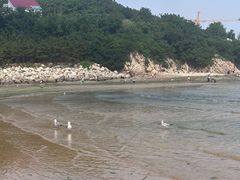 -金海滩海水浴场