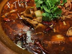 肥肠牛蛙砂锅-马头巷·食景园(苏州总店)